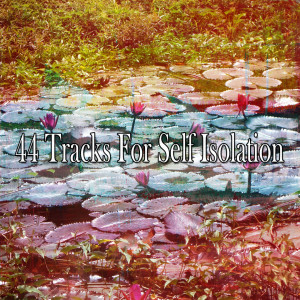 Listen to Trip to the Subconscious song with lyrics from Meditation Zen Master