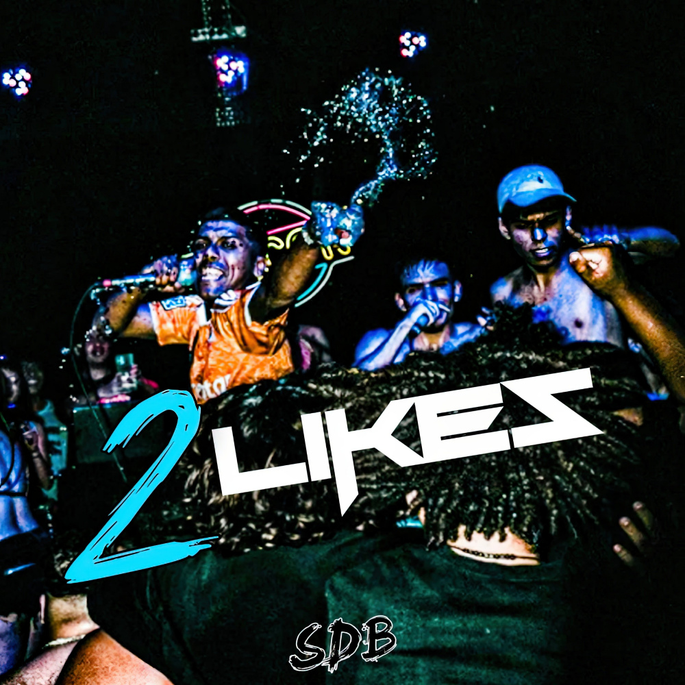 2 Likes