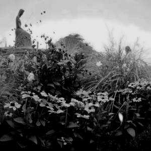 อัลบัม fragile ศิลปิน DJ Tardio
