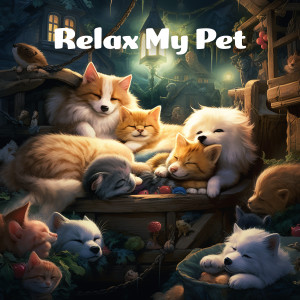 Dengarkan lagu Relax My Pet Vol.5 nyanyian Relax My Dog dengan lirik