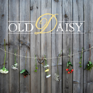 ดาวน์โหลดและฟังเพลง To Fall in Love With You พร้อมเนื้อเพลงจาก Old Daisy