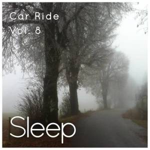 ดาวน์โหลดและฟังเพลง Car Ride Sleep, Pt. 40 พร้อมเนื้อเพลงจาก Sleepy Times