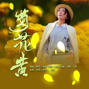 Listen to 菊花黄 (完整版) song with lyrics from 林萍