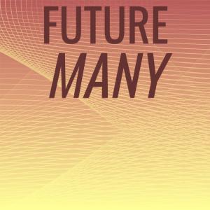 Album Future Many oleh Various