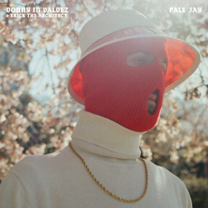 Listen to Donny In Valdez (PJ's Flip) song with lyrics from Pale Jay