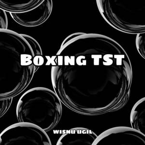 Album Boxing TST oleh Wisnu Ugil