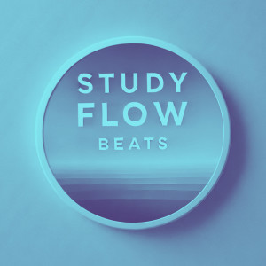 ดาวน์โหลดและฟังเพลง Soft Echoes & Lo-Fi พร้อมเนื้อเพลงจาก Study Flow Beats