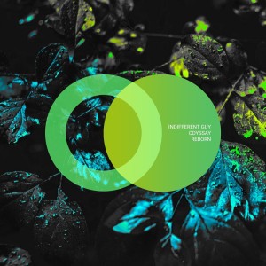 Album Reborn from 