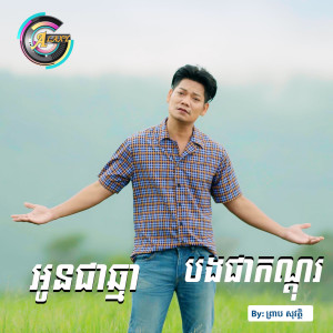 Dengarkan lagu អូនជាឆ្មាបងជាកណ្តុរ nyanyian ព្រាប សុវត្ថិ dengan lirik