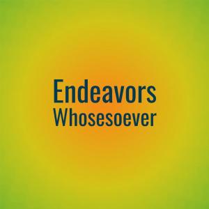 Listen to Endeavors Whosesoever song with lyrics from Ardo Brit