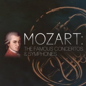 收聽Philharmonia Orchestra的Horn Concerto No. 1 in D Major, K. 412: I. Allegro歌詞歌曲
