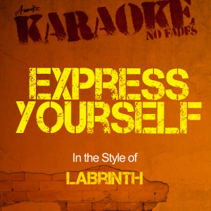 Ameritz - Karaoke的專輯Express Yourself (In the Style of Labrinth) [Karaoke Version]
