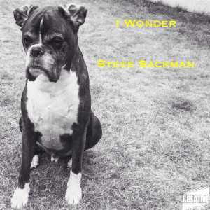 Steve Sackman的專輯I Wonder