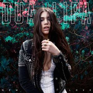 ดาวน์โหลดและฟังเพลง New Love พร้อมเนื้อเพลงจาก Dua Lipa