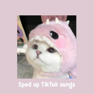 Orinn Sped的專輯Sped up TikTok Songs | Sped up Orinn #36