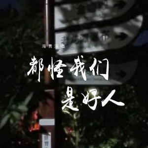 Album 都怪我们是好人 from 海青