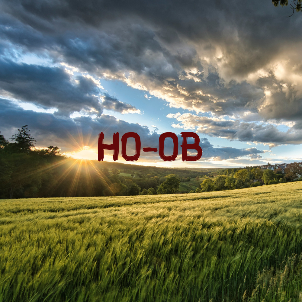 Ho-ob