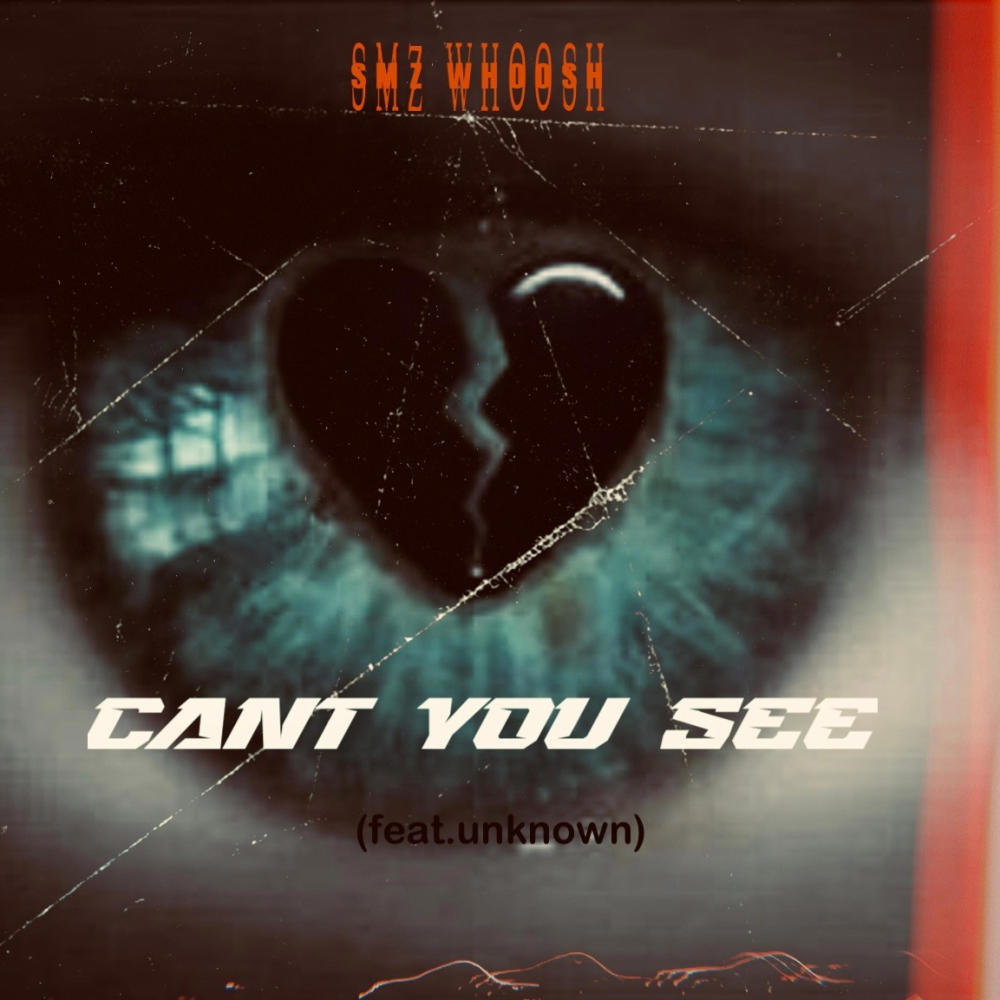 Cant You See