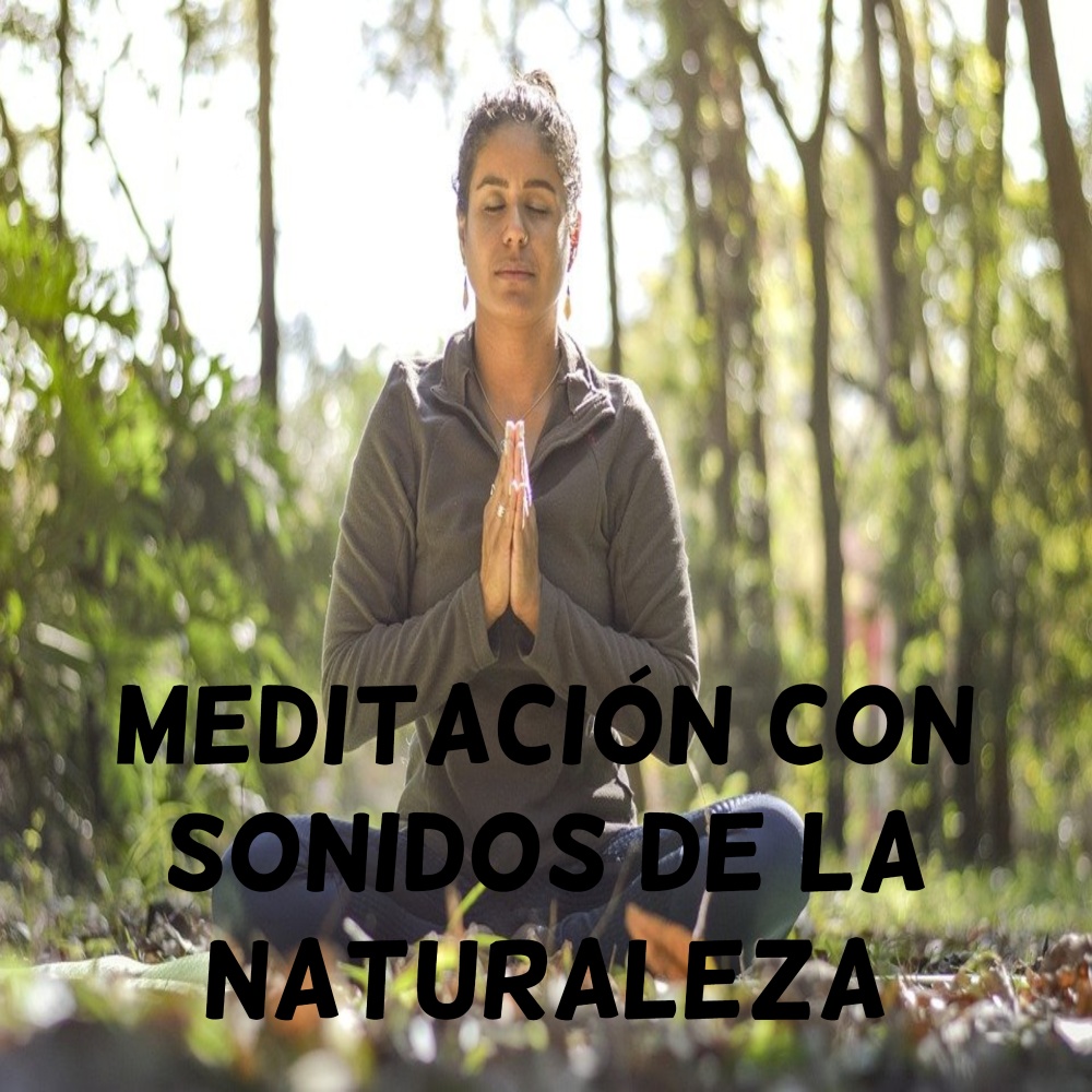 Meditación con sonidos de la naturaleza (Explicit)