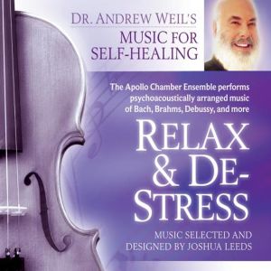 อัลบัม Relax and De-Stress ศิลปิน Joshua Leeds