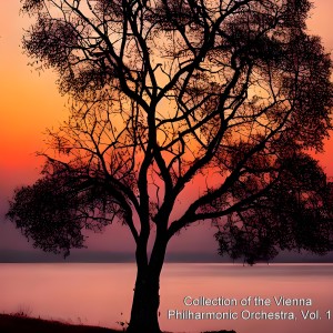 Album Collection of the vienna philharmonic orchestra, Vol. 1 oleh Julius Patzak
