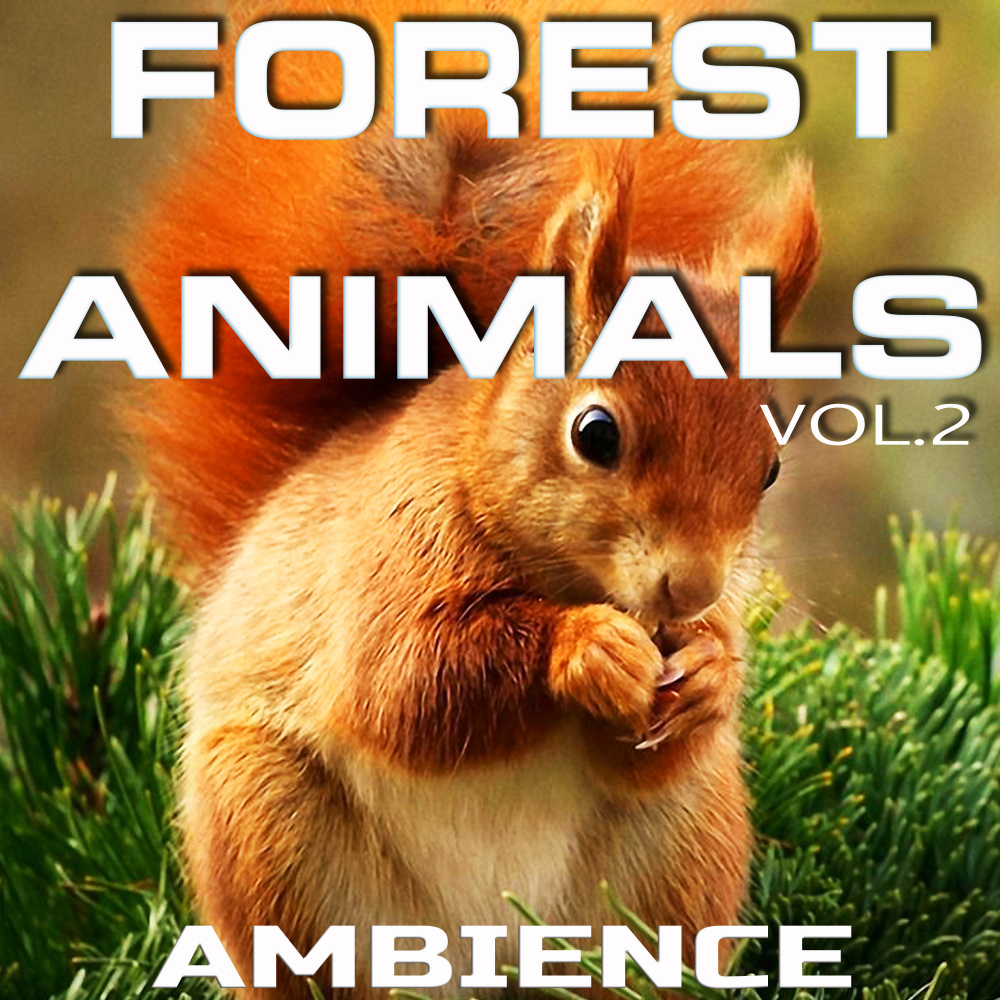 Soothing Forest Animals Nature Sounds