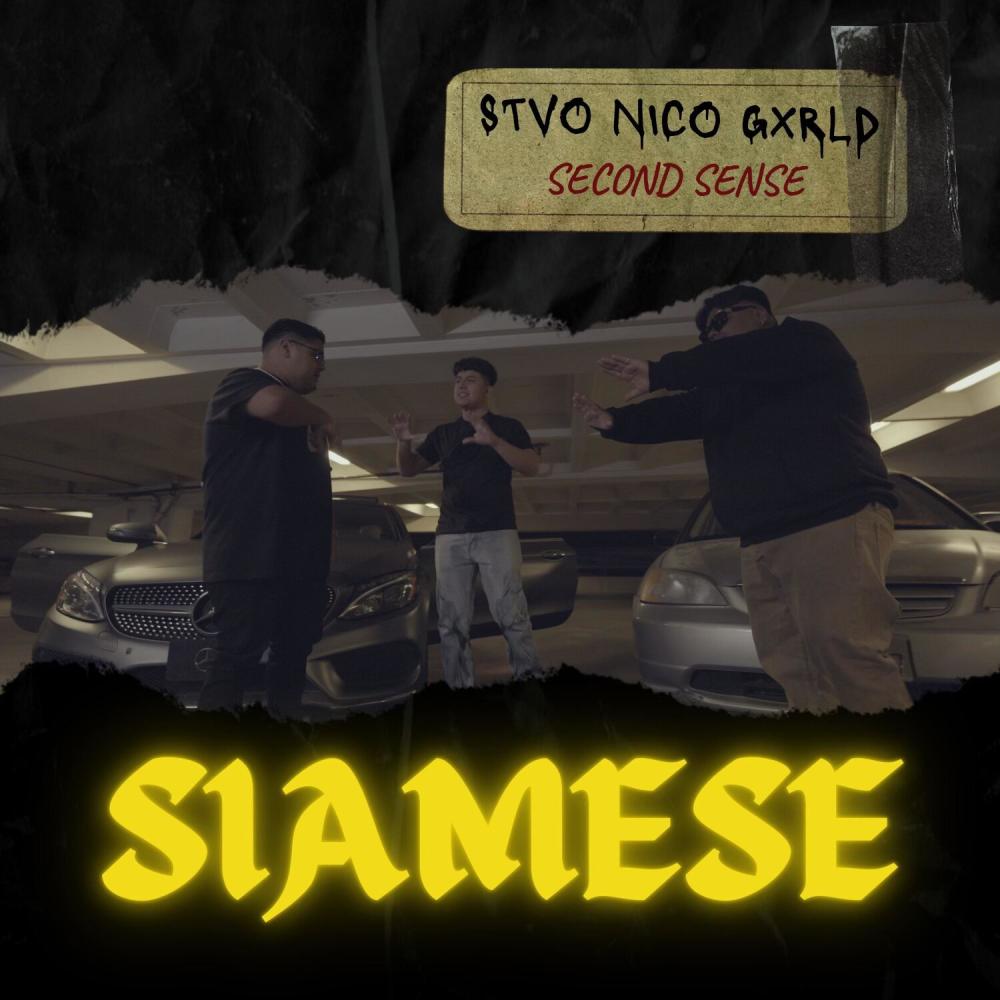 Siamese (feat. $tVO, Gxrld & Nico) (Explicit)