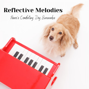 Reflective Melodies: Piano's Comforting Dog Serenades