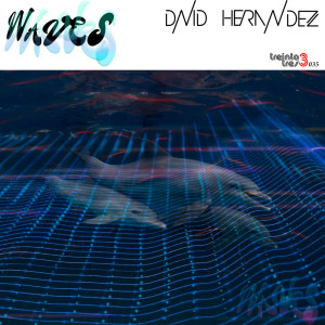 Dengarkan Waves (Original Edit) lagu dari David Hernandez dengan lirik