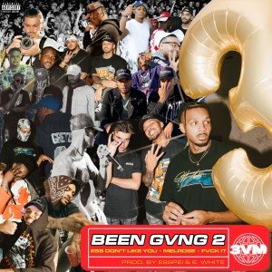 Listen to Fvck It (Explicit) song with lyrics from 3VM