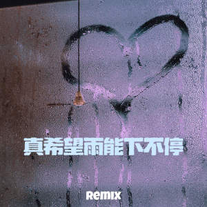 Listen to 真希望雨能下不停 song with lyrics from zyy