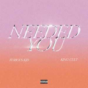 Listen to Needed You (Explicit) song with lyrics from Furious Kid