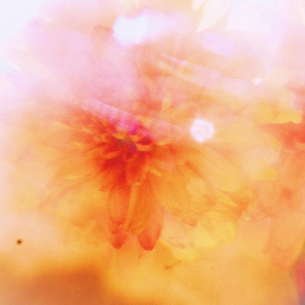 Ambient Playlist