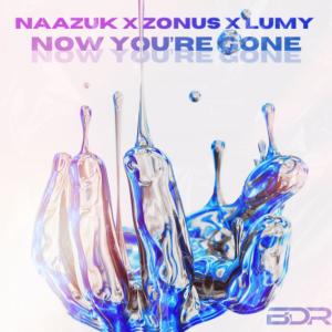 Album Now You're Gone oleh NAAZUK