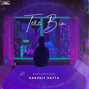 Listen to Tere Bin song with lyrics from Harshit Datta