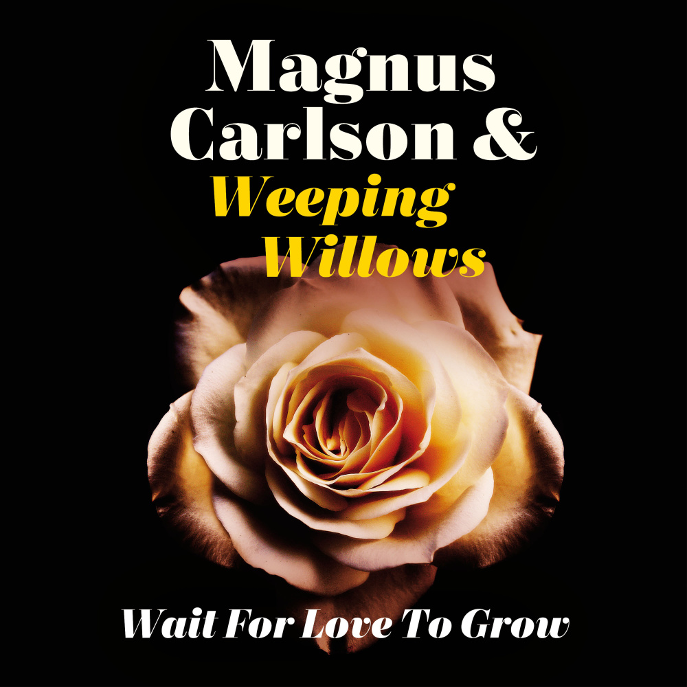 Wait for Love to Grow