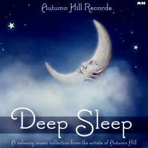收聽Deep Sleep的Bella's Lullaby歌詞歌曲