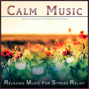 Album Calm Music: Ambient Ocean Music for Relaxation and Wellness oleh Relaxing Piano Music