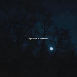 Listen to nightwalk in the forest song with lyrics from I see the Raccoons