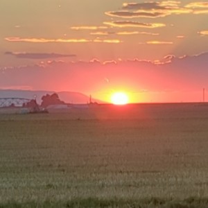 收聽Scarab的It's The Gains (Explicit)歌詞歌曲