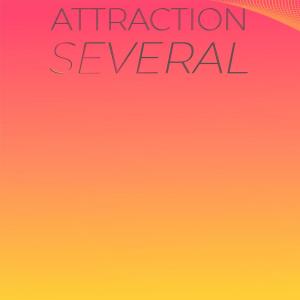 收听Deva Seva的Attraction Several歌词歌曲