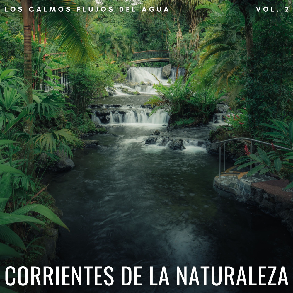 Arroyos En Los Alpes