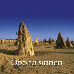 Uffe Brjesson& Rey-Ove Karln的專輯SPA-Serien - Öppna sinnen