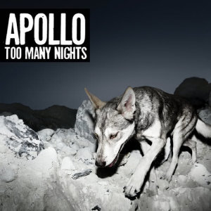 ดาวน์โหลดและฟังเพลง Birds Playing Guitar พร้อมเนื้อเพลงจาก Apollo