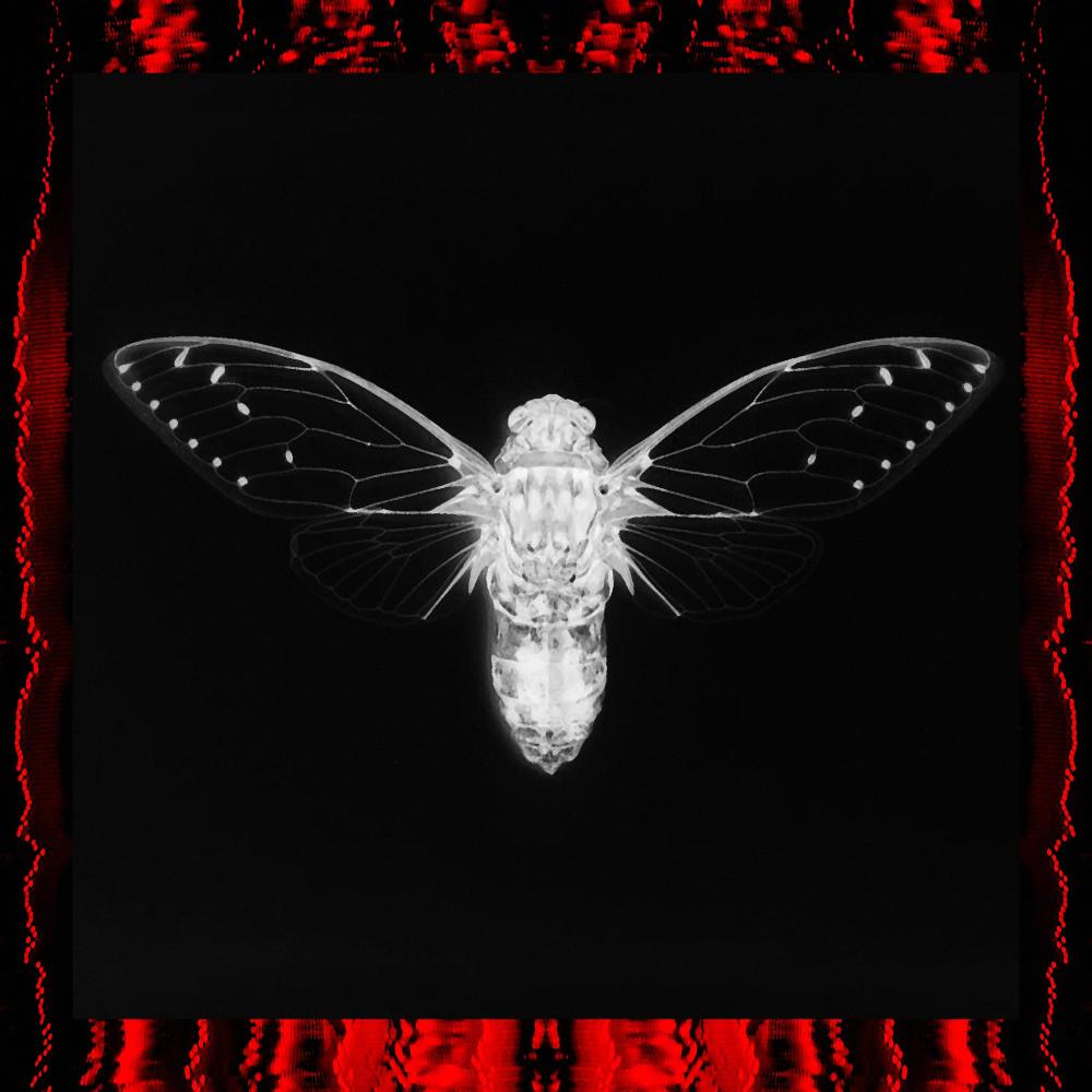 BUGGIN' (Explicit)