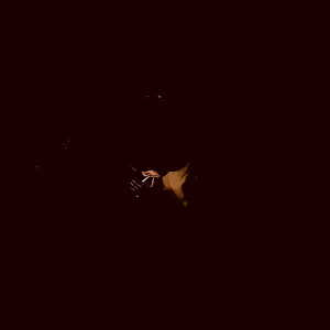 Listen to Wet Cigarettes (Explicit) song with lyrics from Jay The Human