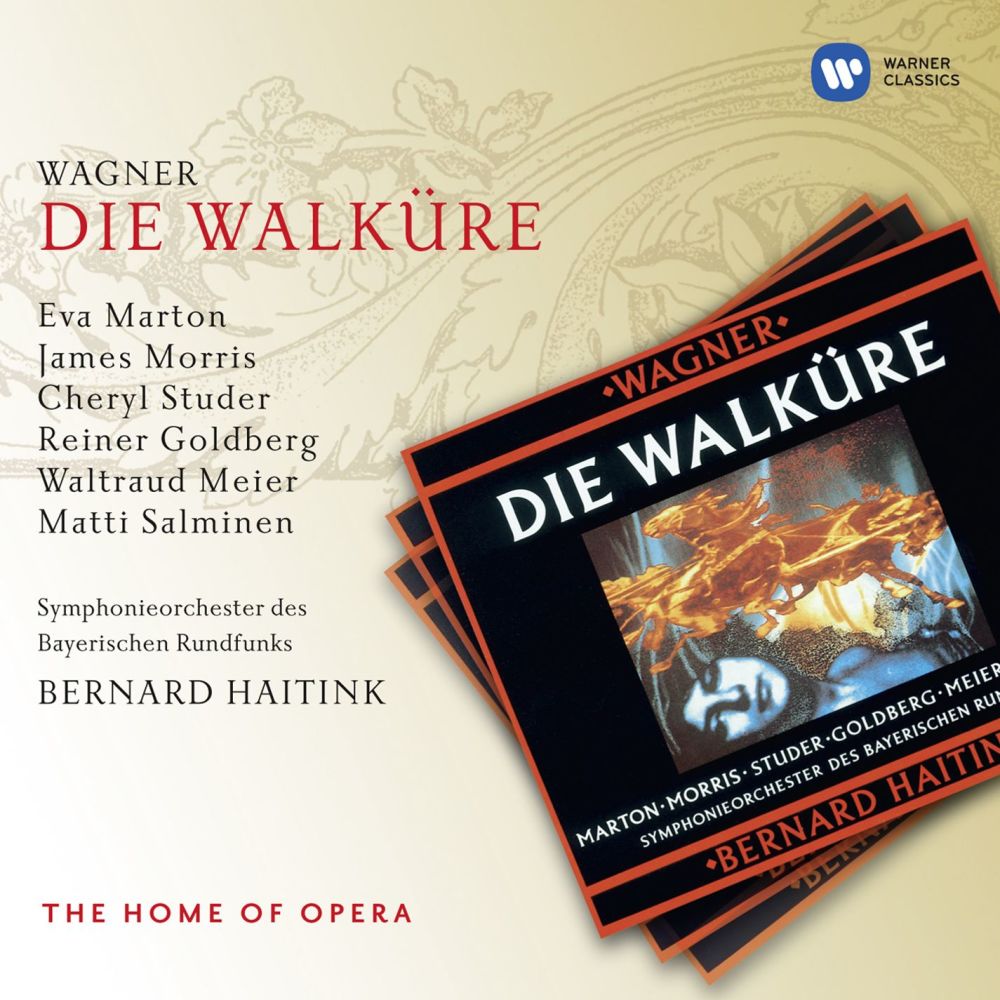Die Walküre, DRITTER AUFZUG/ACT 3/TROISIEME ACTE, Zweite Szene/Scene 2/Deuxième Scène: Hier bin ich, Vater: gebiete die Strafe! (Brünnhilde/Die acht Walküren)