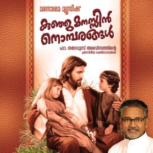 收聽Minmini的Viswasamundenkil歌詞歌曲