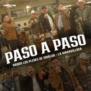 Album Paso A Paso from Various Artists
