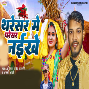 收聽Avinash Pandey Bajarangi的Tharesar Me Paresar Naikhe歌詞歌曲